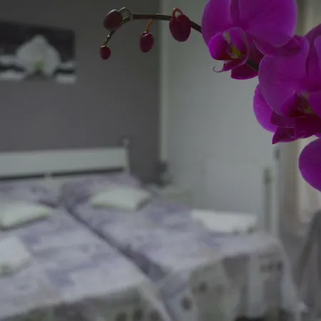 Bed & Breakfast Bellatrix *