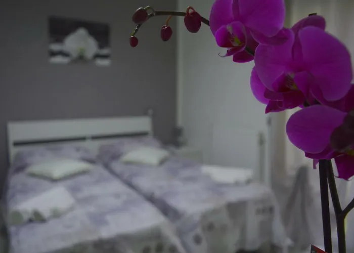 Bed & Breakfast Bellatrix 3*